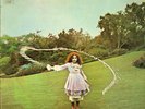 TREES On The Shore 1971 RARE or. Holland FOLK lp