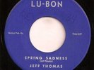 rare r&b popcorn 45 Jeff Thomas on Lu-Bon LISTEN