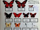 The Jam - The Butterfly Collector Double Live LP signed by Paul Weller