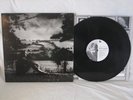 NORMIL HAWAIIANS What's Going On LP Illuminated Records UK Orig