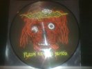 CARCASS Flesh Ripping Sonic Torment PICTURE LP napalm death impetigo macabre