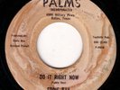 GARAGE 45 EDDIE RAY DO IT RIGHT NOW PALMS 463 fuzz