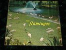 THE FLAMINGOS  CHECKER LP 1433  1959