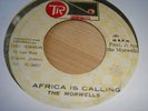 The Morwells Africa is calling Killer Roots 7