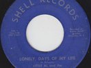 Rare Northern Soul 45 - Little Al and the Maxidynes