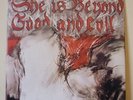 The Pop Group - She Is Beyond Good And Evil 12