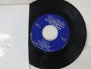 The Danderliers 45 RPM My Love B/W She's Mine States label very rare HTF