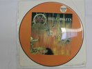 Rare Slayer Hell Awaits picture disc #0806 record Limited Edition