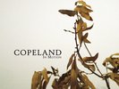COPELAND