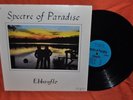 EBBANFLO Spectre '80 private folk Acid Archives LP NM-