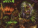 ACID WITCH Witchtanic Hellucinations LP
