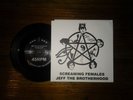 JEFF The brotherhood Screaming Females Split 7