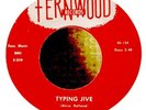 Rockabilly 45-Alvin & Bill-Typing Jive-Fernwood 124-STUNNING