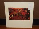 FEELIES-Time for a Witness LP RARE US ORIGINAL