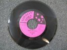 THE TODDS 60s MINT CHICAGO GARAGE FUZZ PUNK POUNDER RARE 45 I WANT HER BACK