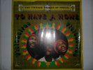 TWELVE TRIBES OF ISRAEL/TO HAVE A HOME - VISIONAIRES (REGGAE ROOTS LP)