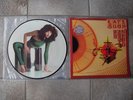 KATE BUSH Vinyl LP THE KICK INSIDE Picture Disc top