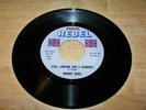 Johnny Rebel - Still Looking for a Handout - Reb Rebel 515