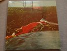 SPRING - Spring ** rarer Reissue auf Akarma ** noch versiegelt 