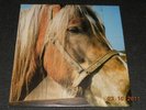 TERVEET KADET The Horse LP rare Finnish HC KBD  Barabbas -85 mint- printed inner