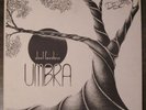 JOEL FAIRSTEIN UMBRA LP PRIVATE JAZZ FUSION
