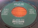 BUZZSAW i live in the springtime FUZZ GARAGE mod LEMON DROPS MINT- 45