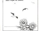 Seagulls and Sunflowers by Naomi Lewis
