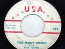 JESSIE FORTUNE  Too Many Cooks  USA 738 ^R&B MOD SOUL/BLUES^ *HEAR BOTH SIDES*