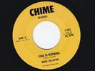 MORE RELATION FIRE IS BURNING HEAVY 70s RED HOT DUB RARE CHIME 7