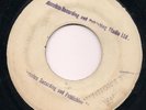 RASTA IS CALLING / BRIDGE OVER TROUBLED WATER - NIGHTINGALES / CEDRIC IM BROOKS
