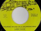 rare Soul 45 LARRY DAVIS on TRUE SOUL Hear