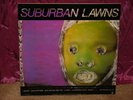 SUBURBAN LAWNS LP NEAR MINT PUNK