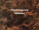 LP - MISTHAUFEN - HART ABER UNGERECHT Austria 1977