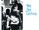 The SEA URCHINS: Rare 7