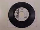 The Raves Everything's Fire 45 Record #5