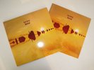 2LP Kate Bush - Aerial, FOC, booklet (wie neu/as new)