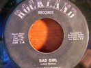 RARE GARAGE  - THE MARAUDERS on ROCKLAND RECORDS