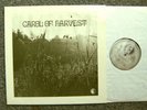 Carol of Harvest – same - Brutkasten – LP - Krautrock