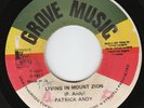 Patrick Andy - Living In Mount Zion - ROOTS THUNDER ???
