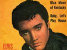 ELVIS PRESLEY BLUE MOON OF KENTUCKY  RCA 45N 0996