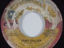 Northern Soul 45 TERRY CALLIER Ordinary Joe CADET HEAR
