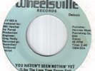 Modern Detroit Soul-Will Hatcher-You Haven't Seen Nothin' Yet-US Wheelsville