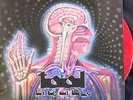 TOOL LATERALUS 2 X LP COLOR VINYL