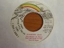 Ras Michael & Sons of Negus - Numbered Days 1977 JA 45