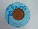Gaylads - False Rasta 1975 JA 45 TOTAL SOUNDS
