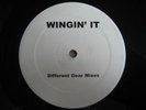 Paul McCartney PROMO Wingspan 