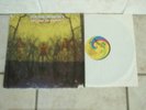 ZZ TOP rel LP  AMERICAN BLUES Do their thing ST ' 69 M- UNI orig
