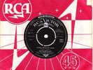 Elvis Presley  -  Fools Fall in Love   - RCA  IRISH  pressing  1966  N MINT