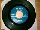 The Worlocks 60's Garage Punk Rock 45 rpm Vinyl Record Collector's Item