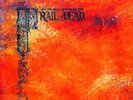 ...And You Will Know Us By The Trail Of Dead– Source Tags & Codes LP